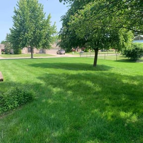 Lawn Treatment by  reviewed on November 4, 2025