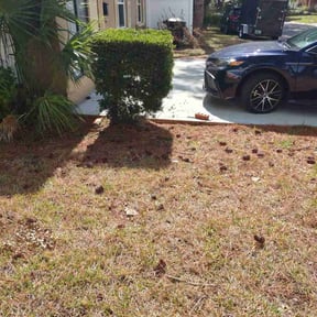 Bush Trimming by B and M Murillo Gardening Service reviewed on August 21, 2025