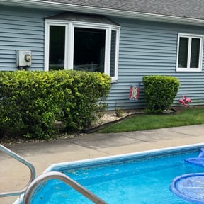 Bush Trimming by StarScape Lawn Services reviewed on November 24, 2025