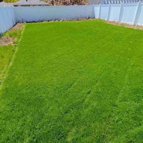 yard work by Tamara butler reviewed on April 17, 2025