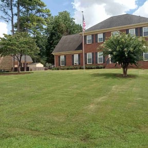 landscape maintenance by Helping HandyHands reviewed on December 4, 2025