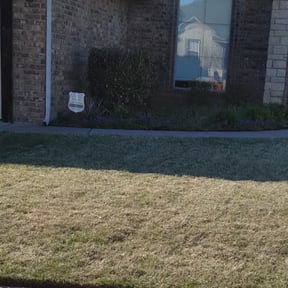 Bush Trimming by Serrano Brothers Handyman LLC reviewed on November 23, 2025