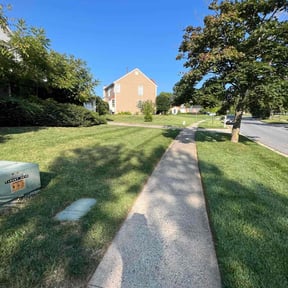 yard care by Cuttas Landscaping &amp; Lawn Services reviewed on November 19, 2025