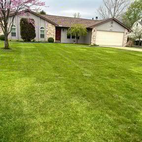 landscaping services by WATSON LANDSCAPING reviewed on August 16, 2025