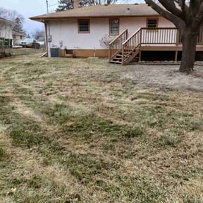 Leaf Removal by One man's lawn Care service reviewed on July 22, 2026