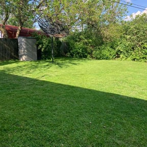 gardening service by Lets go mow reviewed on August 20, 2025