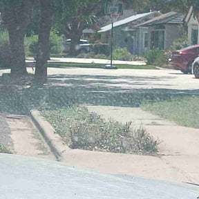 Bush Trimming by Rolf Johnson reviewed on July 8, 2026