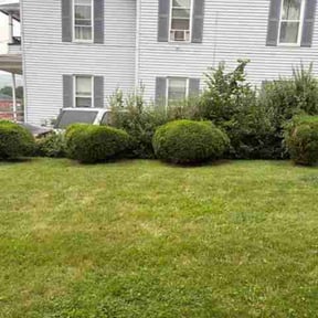 Bush Trimming by Siefert Enterprise's Lawnbusters reviewed on July 23, 2026