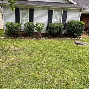 Bush Trimming by Gmiller & HMR Lawncare& Landscape reviewed on August 15, 2025