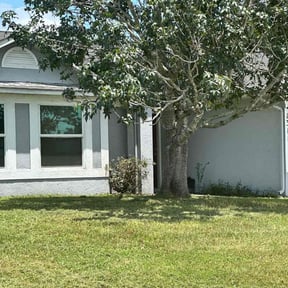 Bush Trimming by Nells services llc reviewed on August 19, 2025