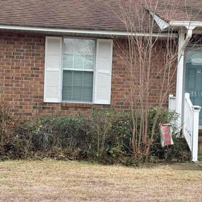 Bush Trimming by Florida Palms and Blades reviewed on October 16, 2026