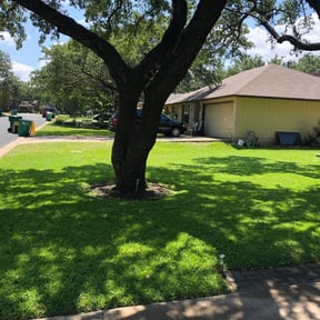 yard care by Big Horn Landscaping reviewed on November 23, 2025