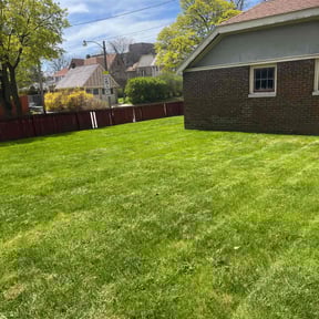 yard maintenance by Chavez Garden reviewed on August 19, 2025