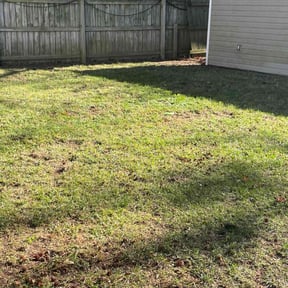 Leaf Removal by ClearCoast Lawn Solutions reviewed on September 6, 2025