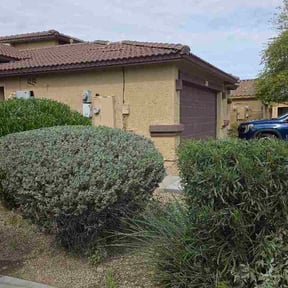 Bush Trimming by Greenview Lawn Solutions llc reviewed on March 18, 2026