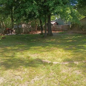 Leaf Removal by D1B PRODUCTIONS LLC reviewed on July 1, 2026