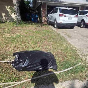 Leaf Removal by C&amp;J Lawn Care and Pressure Washing reviewed on June 18, 2026