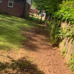 Leaf Removal by DDE Landscaping reviewed on July 8, 2026