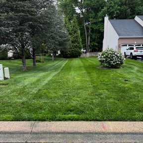 yard service by Rick's landscaping &amp; construction llc reviewed on May 2, 2024