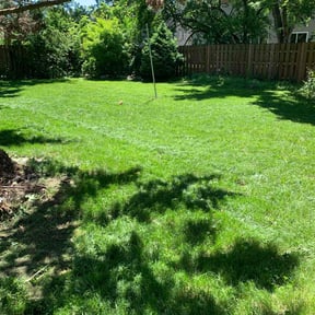 residential landscaping by The Helping Pro reviewed on August 19, 2025