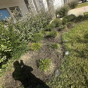 Flower Bed Weeding by Patriot Landscaping &amp; Design LLC reviewed on November 24, 2025