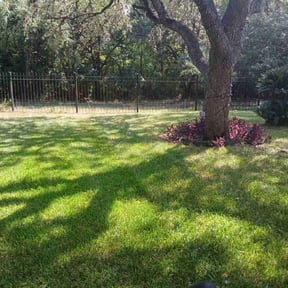 lawn maintenance by Green Day Lawn Service reviewed on April 23, 2024