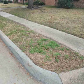 Leaf Removal by Delgado landscaping reviewed on July 22, 2026