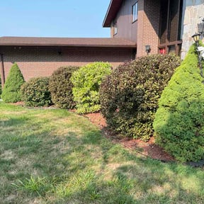 Bush Trimming by Bullard lawn and landscaping reviewed on July 16, 2026