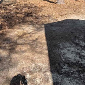 Leaf Removal by Lowcountry Landscape and Design LLC reviewed on March 7, 2026