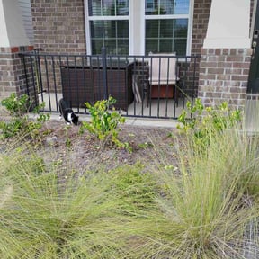 Bush Trimming by Lawn Boss reviewed on November 6, 2025