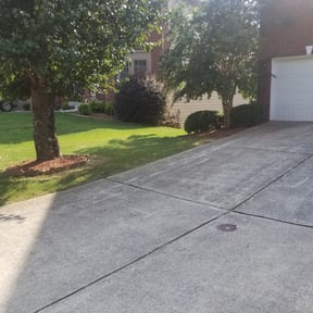 Bush Trimming by Roy lee lawn care reviewed on August 21, 2025