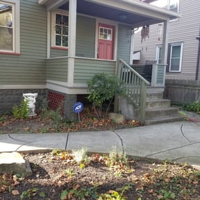 Bush Trimming by Top Notch Lawn Care& MAINTENCE reviewed on August 15, 2025