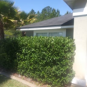 Bush Trimming by Mac's Property Detail reviewed on March 20, 2024