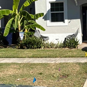 Flower Bed Weeding by Weeds And Needs Lawncare reviewed on November 10, 2025