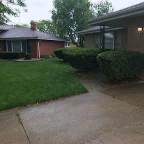 Bush Trimming by Sbm reviewed on May 3, 2025