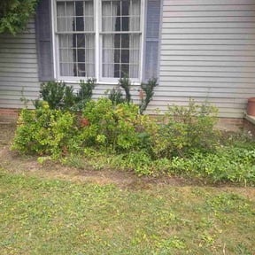 Flower Bed Weeding by Fitzgerald Modern Homes reviewed on July 30, 2026