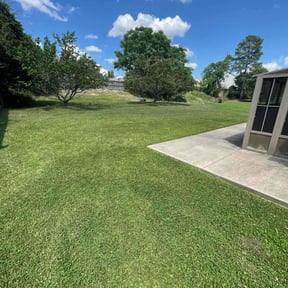 lawn care by Zunigas Green Care LLC  reviewed on August 21, 2025