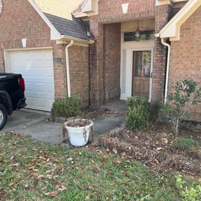 Bush Trimming by C L O V E R reviewed on February 18, 2026