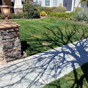 turf care by Fierro&#039;s Landscaping maintenance and development reviewed on May 12, 2025