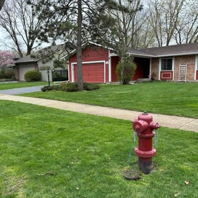 landscaping by Lake Area Landscaping reviewed on August 17, 2025