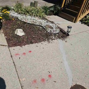 Flower Bed Weeding by Local Green Lawn Care LLC reviewed on November 9, 2025