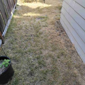 Leaf Removal by Grunt Work Industrial Services LLC reviewed on July 10, 2026