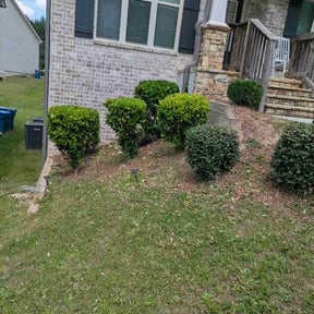 Bush Trimming by Jte lawncare reviewed on June 12, 2026