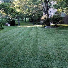 turf maintenance by Tater's Lawn Care reviewed on July 10, 2025