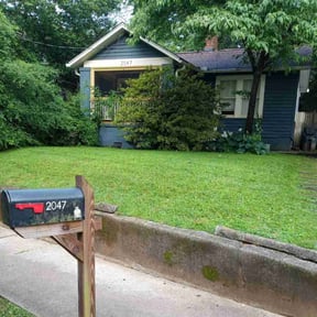 yard care by Young's Lawn Care Services reviewed on August 20, 2025