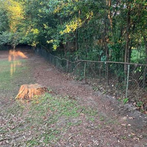 Leaf Removal by Lawn's Unlimited LLC reviewed on April 17, 2026