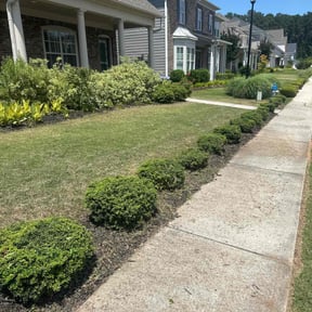 residential landscaping by Verde Lawn and Property Management reviewed on August 19, 2025
