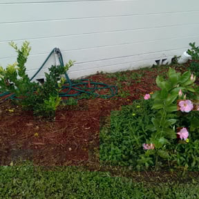 turf maintenance by Taylor Made Lawncare reviewed on August 5, 2025