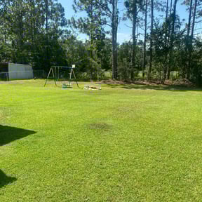 yard care by Devil Dogs Lawn Care reviewed on November 20, 2025