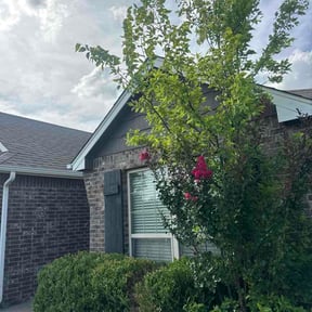 Bush Trimming by Trublack Lawns llc reviewed on July 9, 2026